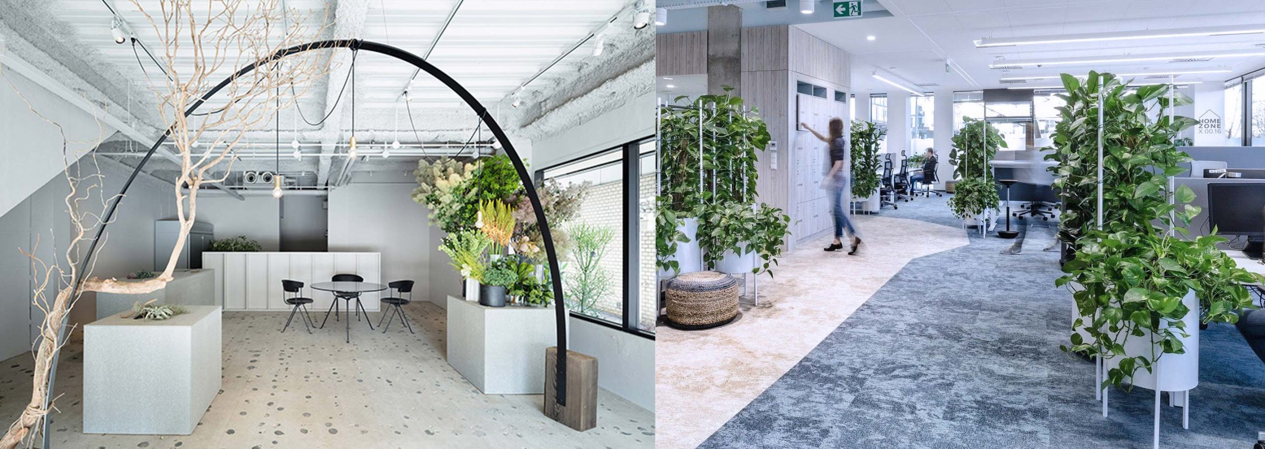 4- کاربرد و استفاده - گیاهان آپارتمانی - تجهیزات دکوراسیون - indoor plants - office plants - استفاده از گیاهان آپارتمانی - آبیاری گیاهان آپارتمانی اداری